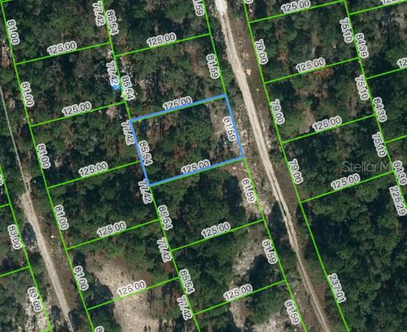 210 Fascination Drive, FL