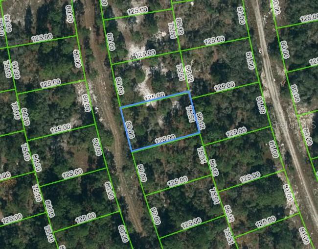 217 Blue Horizon Drive, FL