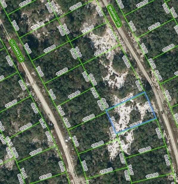 210 Briarway Drive, FL