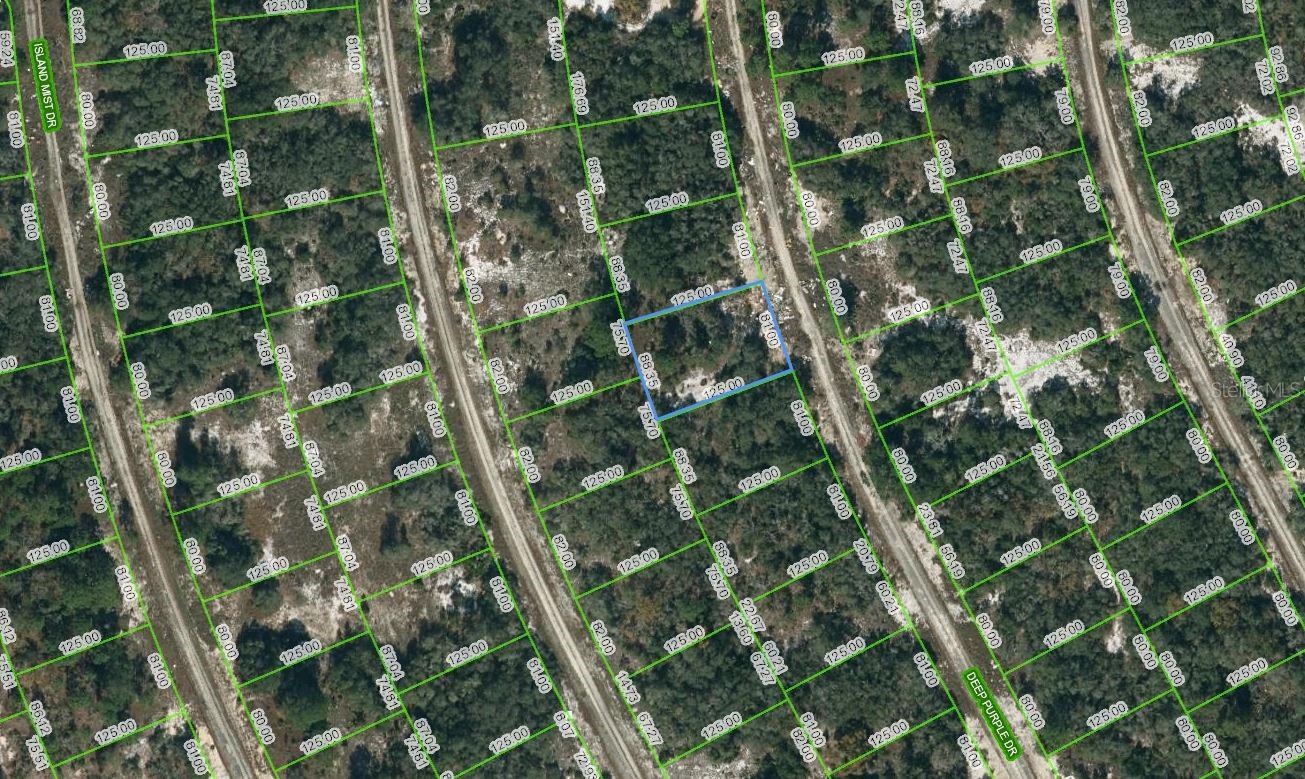 218 Deep Purple Drive, FL