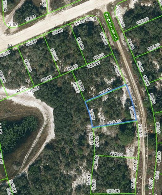 130 Summer Oak Court, FL