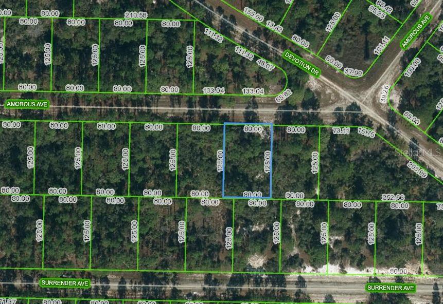 427 Amorous Avenue, FL