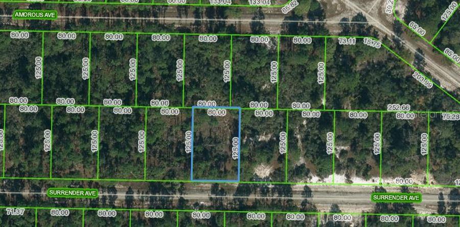 420 Surrender Avenue, FL