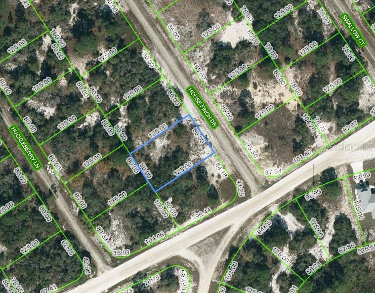 602 House Finch Drive, FL