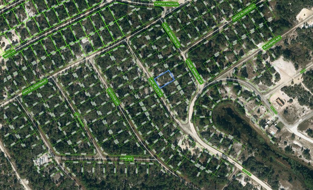 519 Lake Helen Drive, FL