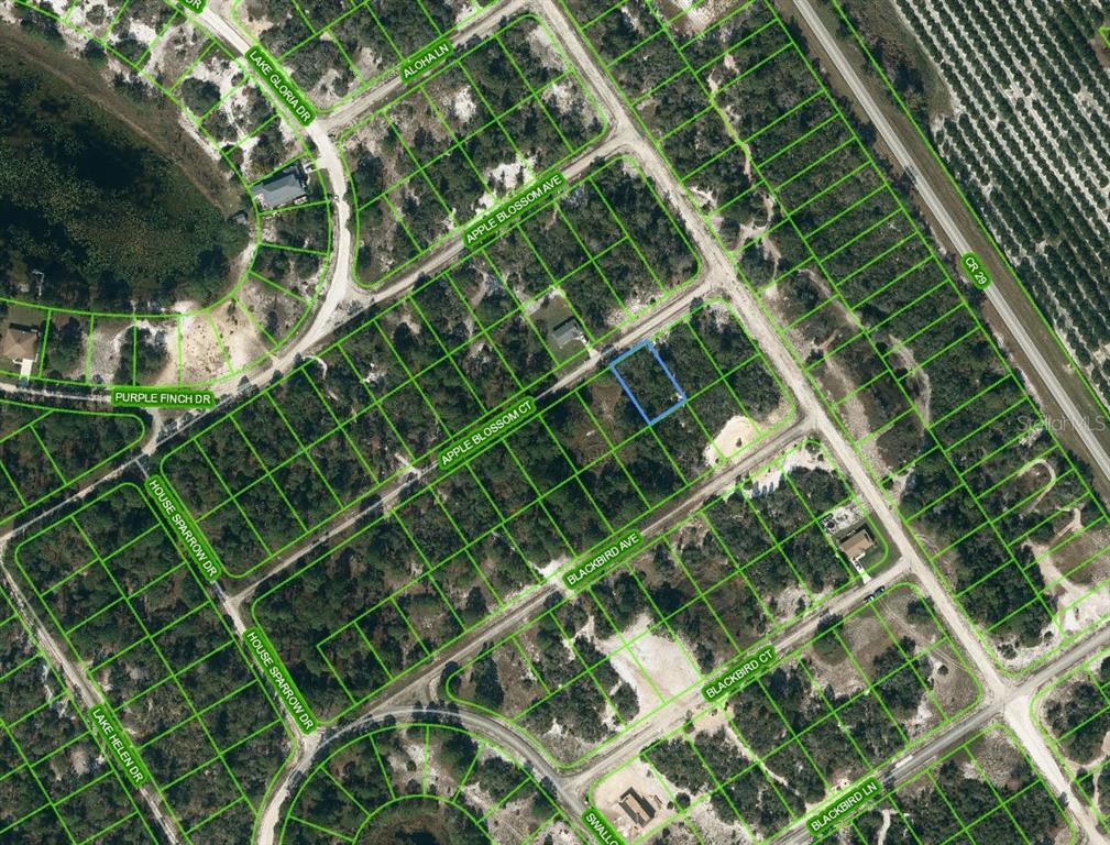 455 Apple Blossom Court, FL