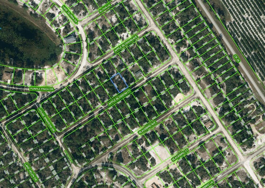 448 Apple Blossom Court, FL
