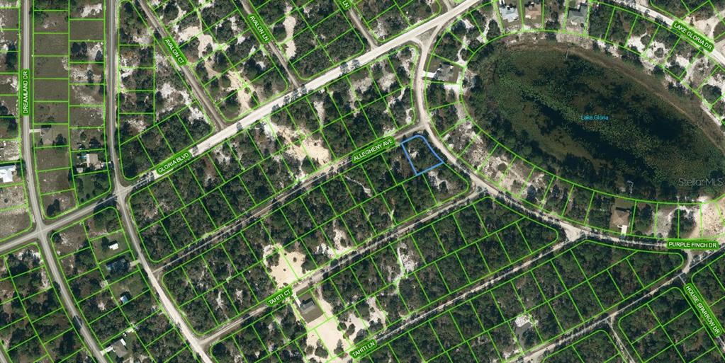 425 Allegheny Avenue, FL