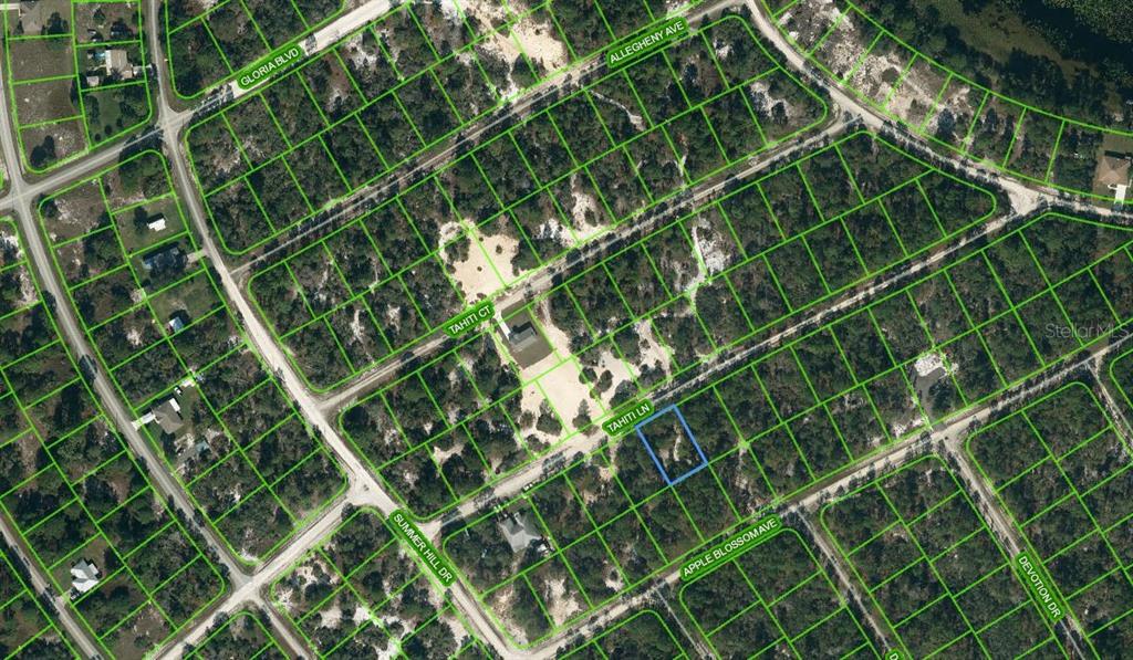 411 Tahiti Lane, FL