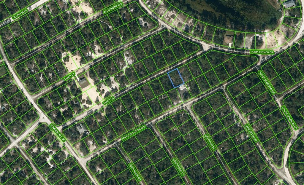 423 Tahiti Lane, FL