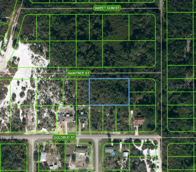 1515 Raintree Street, FL
