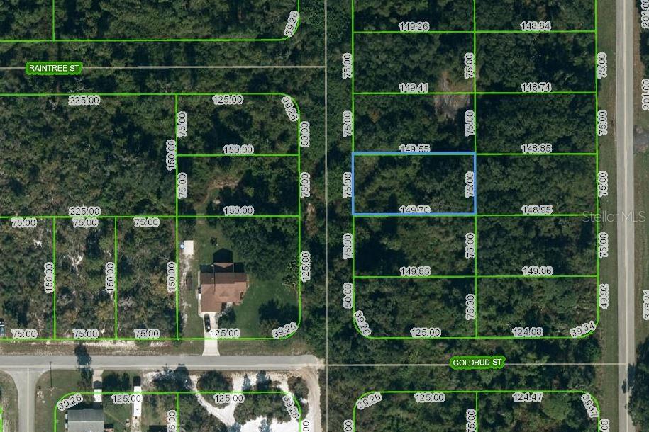 251 Marshall Avenue, FL