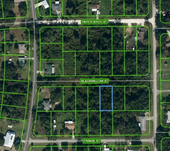 1505 Prentice Street, FL