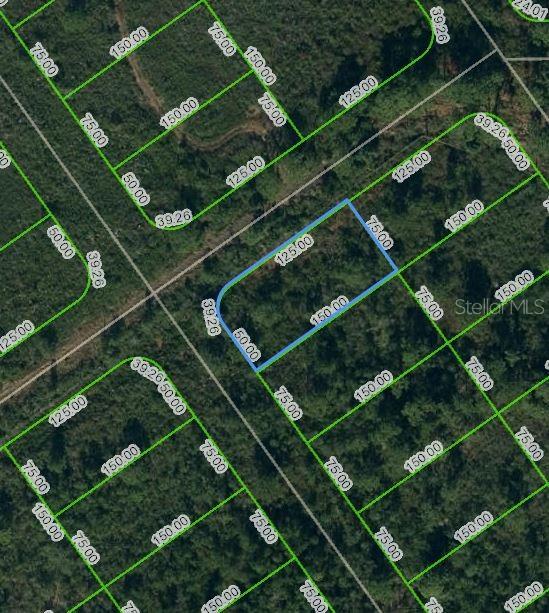 569 Kennedy Street, FL
