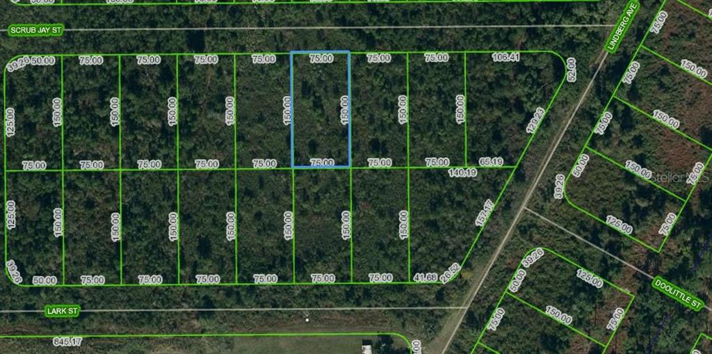 1431 Scrub Jay Street, FL