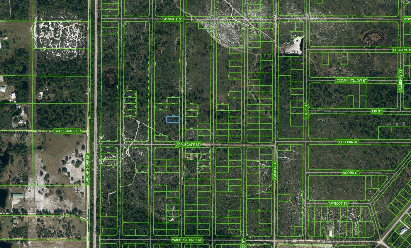 866 Scarlet Oak Street, FL