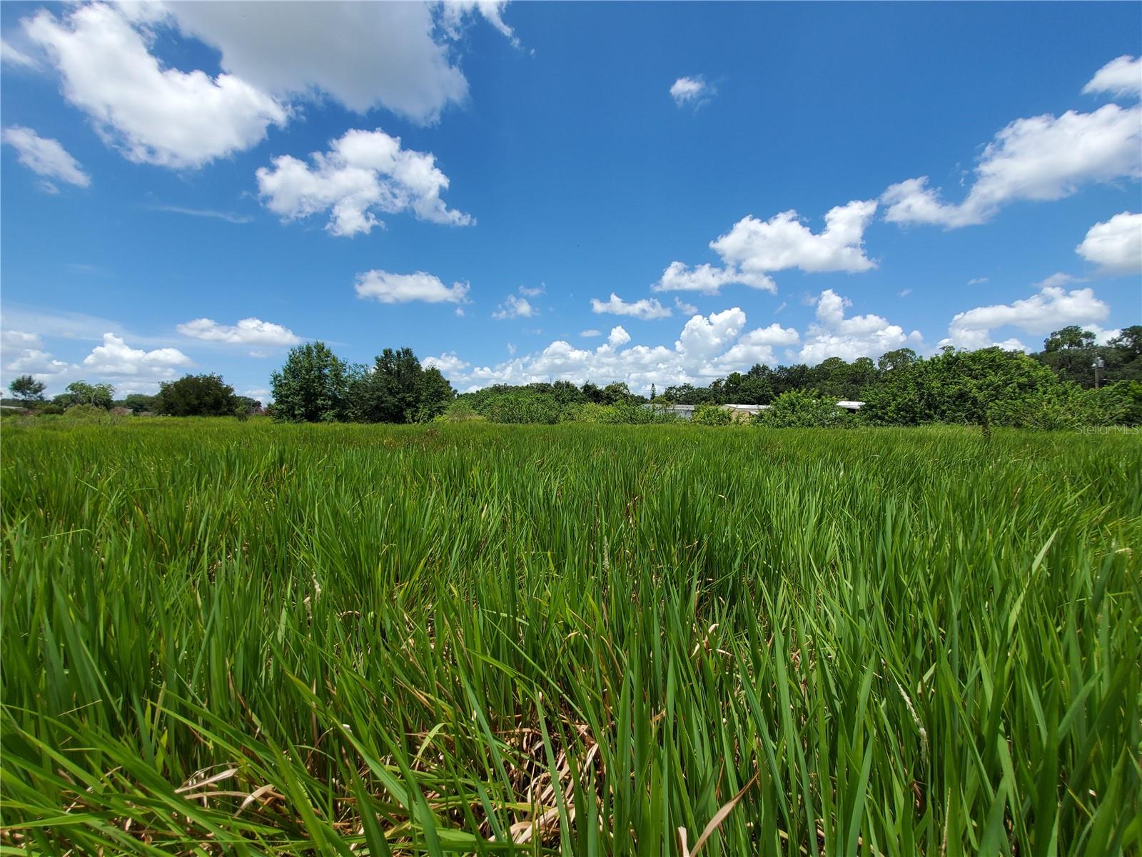 Woodland Avenue, FL