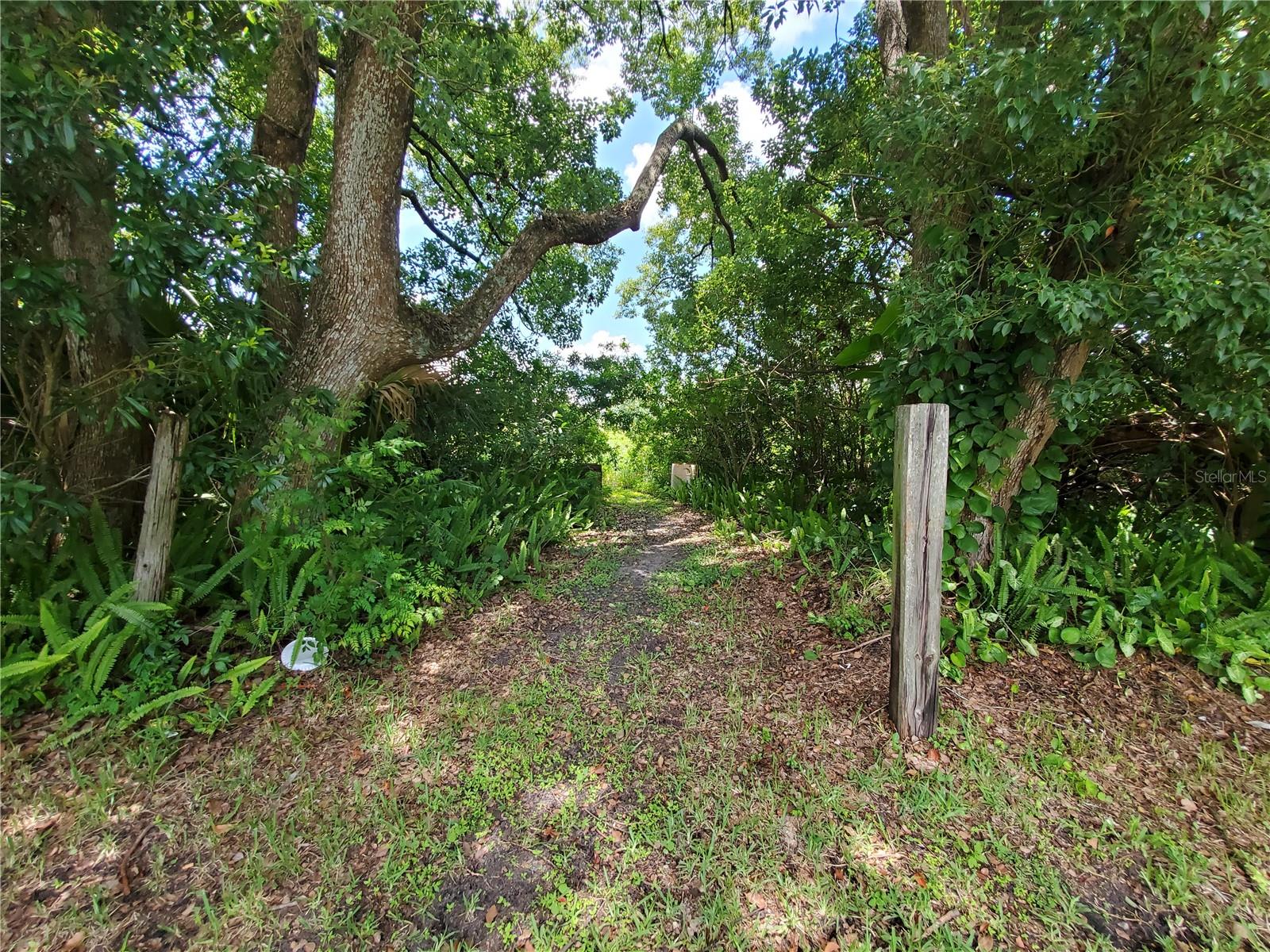 Woodland Avenue, FL