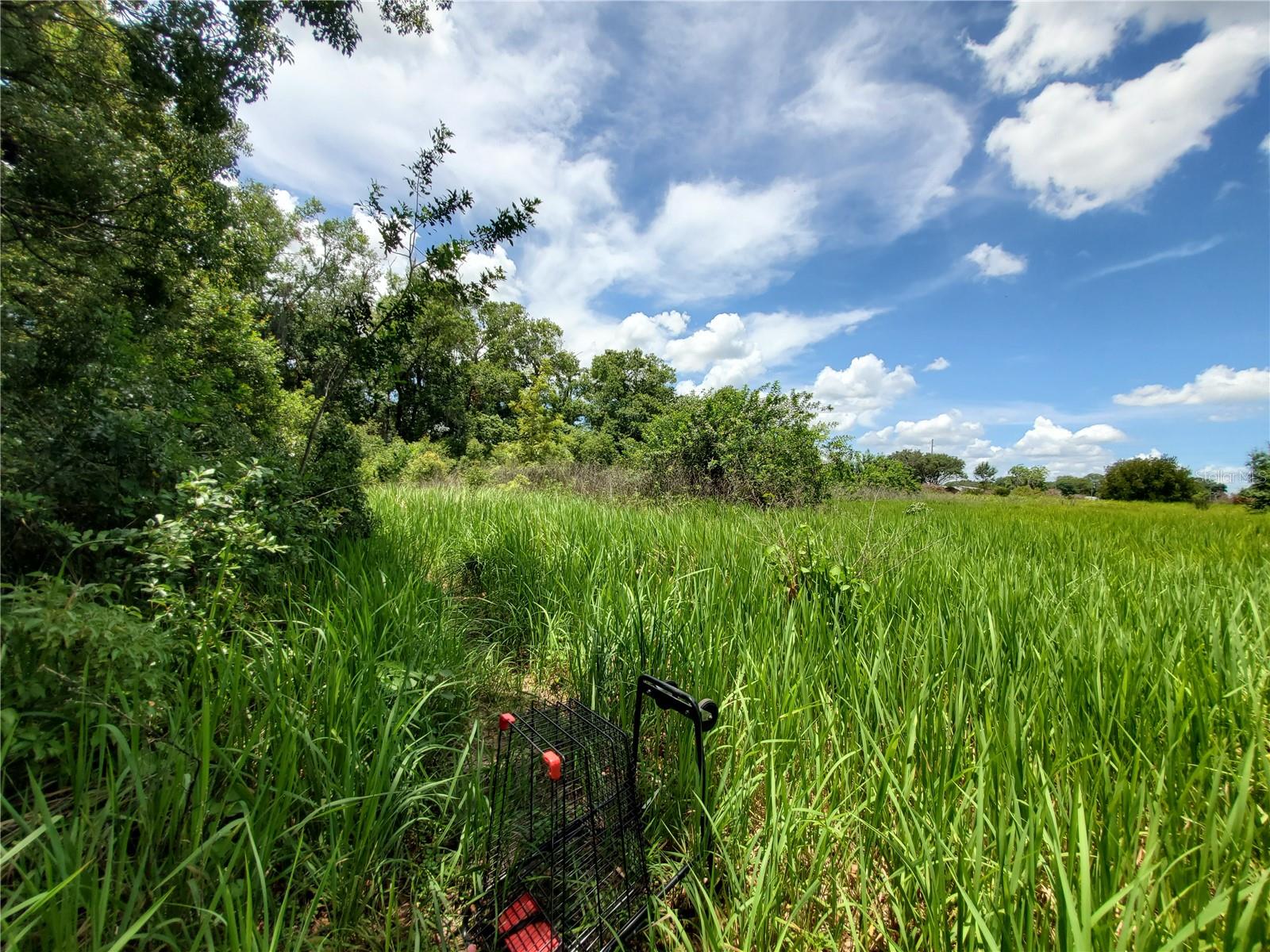 Woodland Avenue, FL
