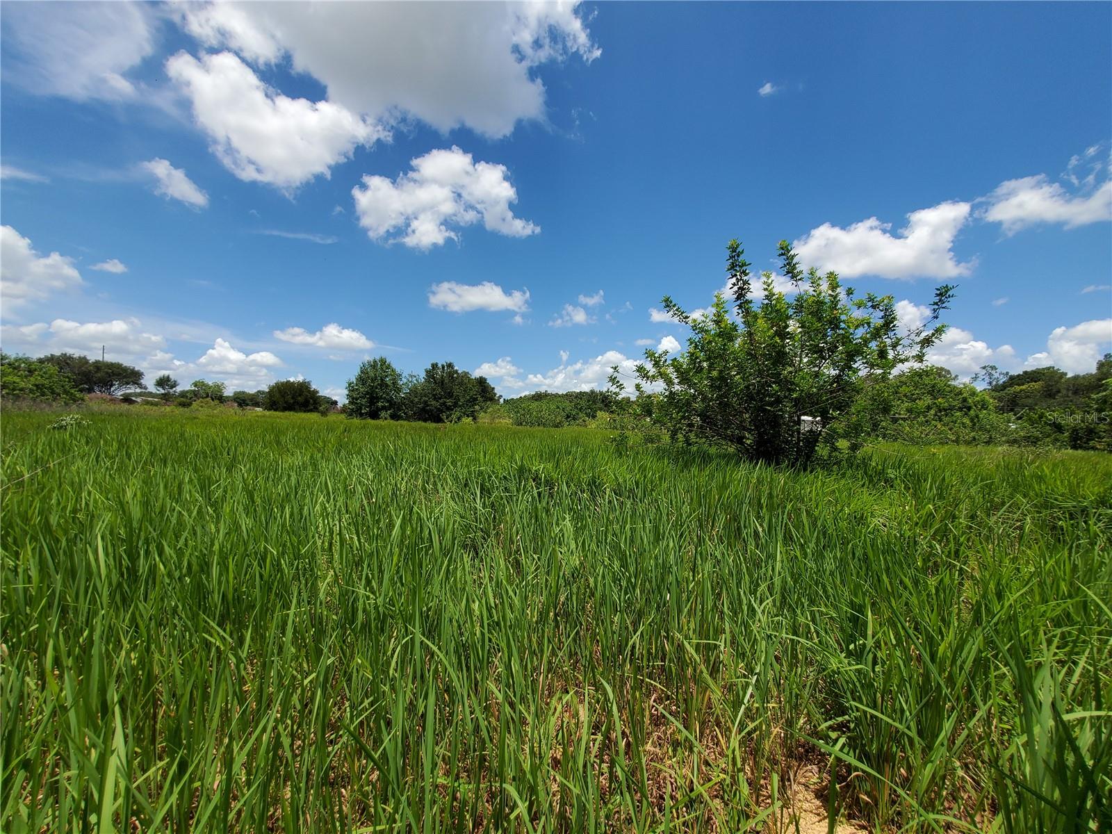 Woodland Avenue, FL