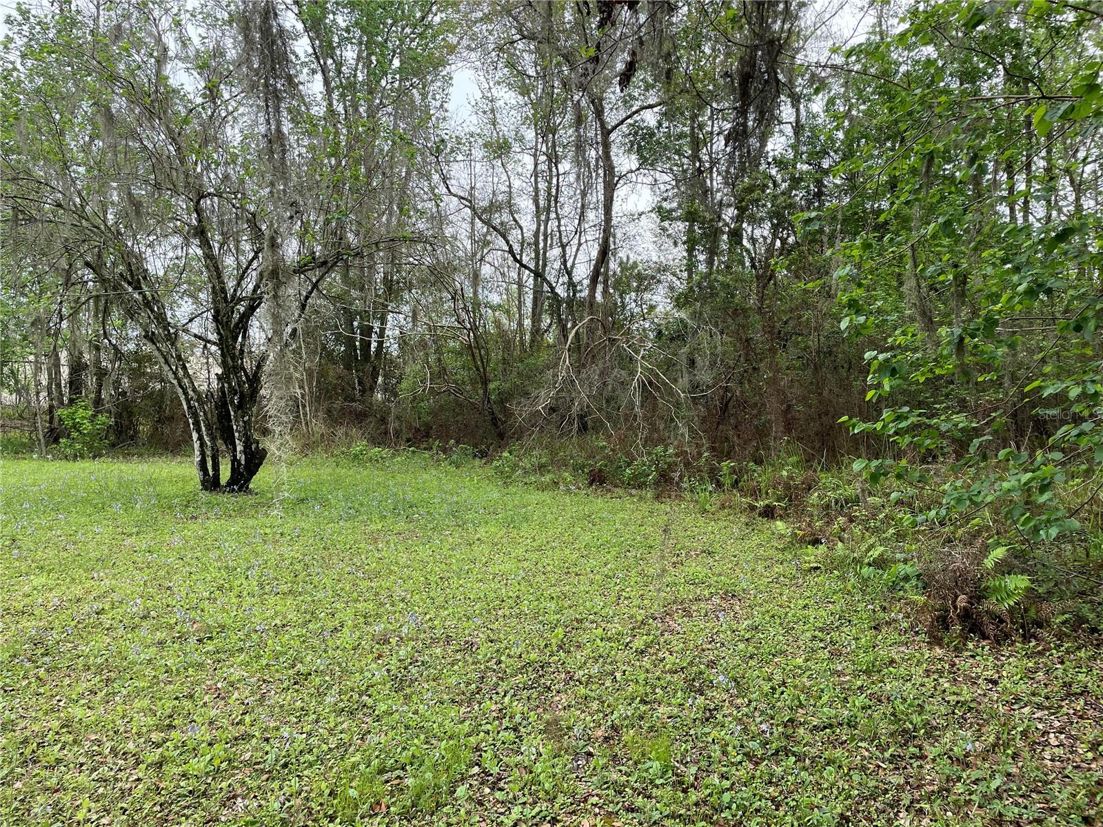 7419 Buck Hope Road, FL