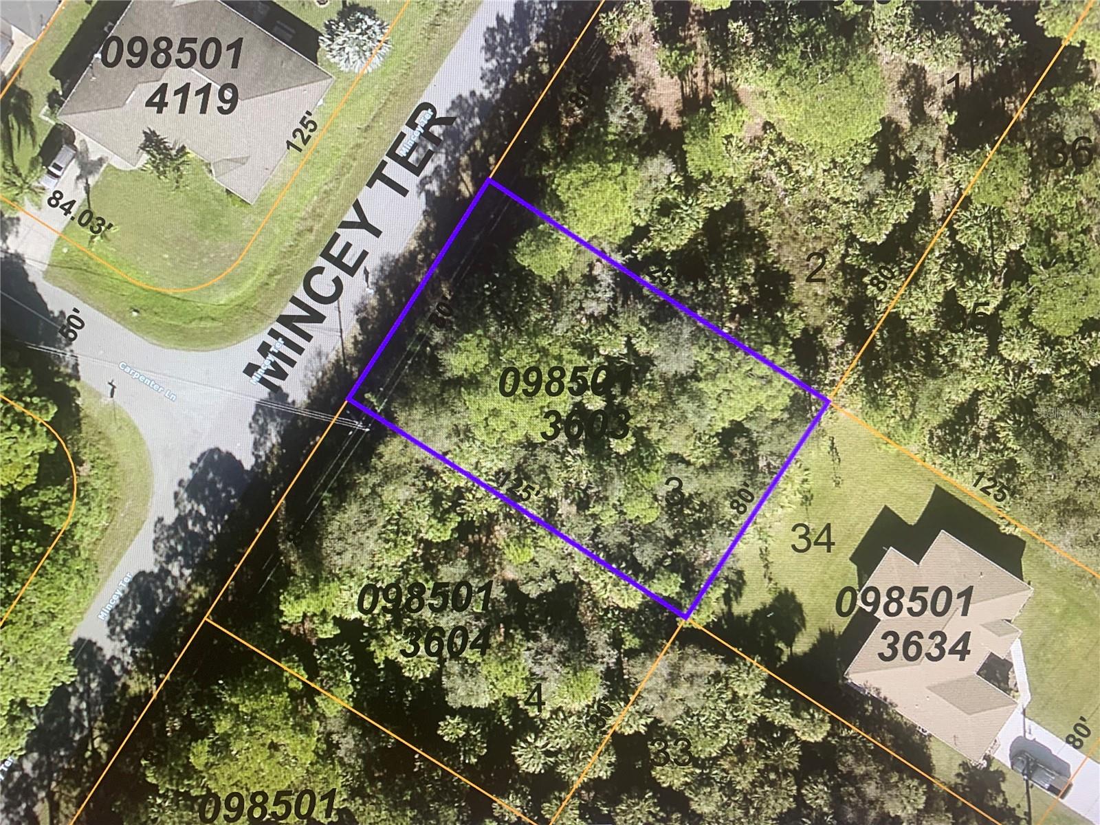 Lot 3 Mincey Terrace, FL