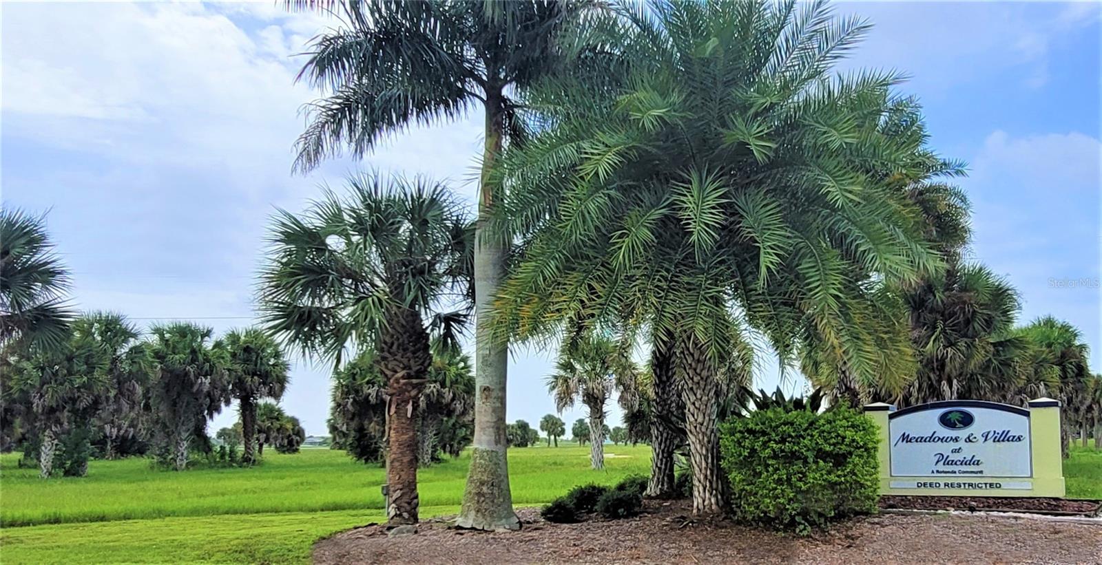 12098 & 12106 Salitpa Court, FL