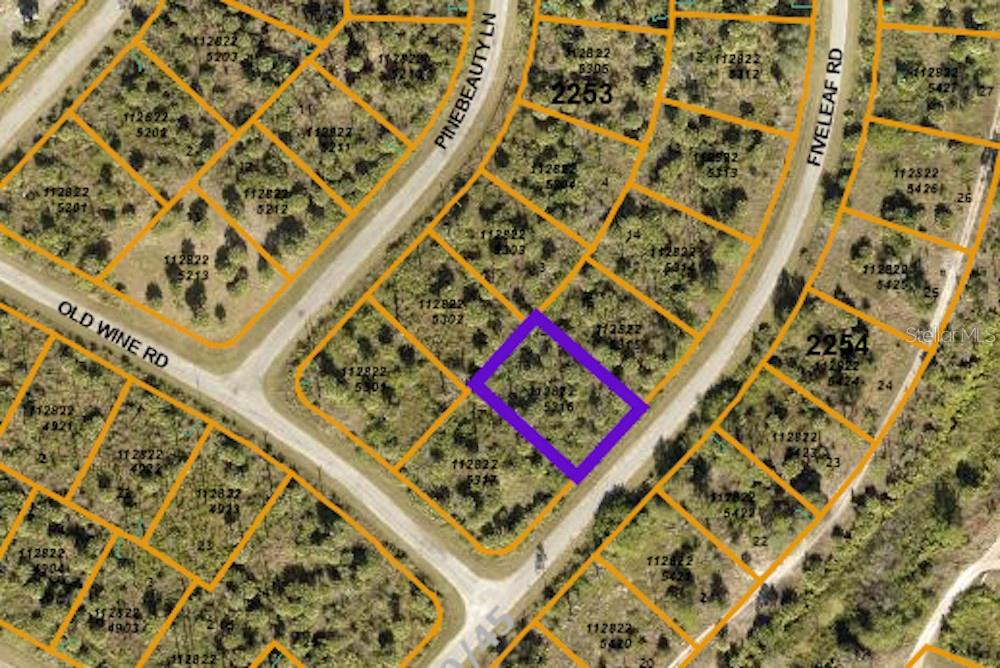 Fiveleaf Road, FL