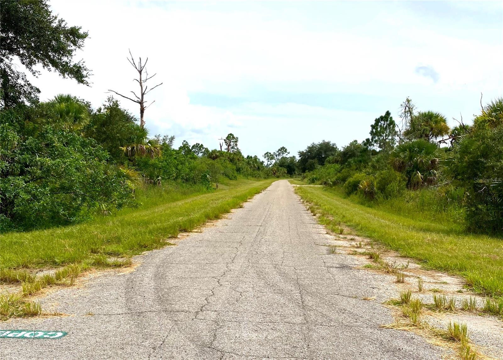 Fiveleaf Road, FL