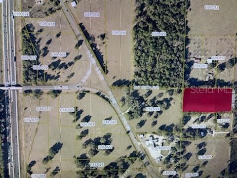 11964 Main Street, FL