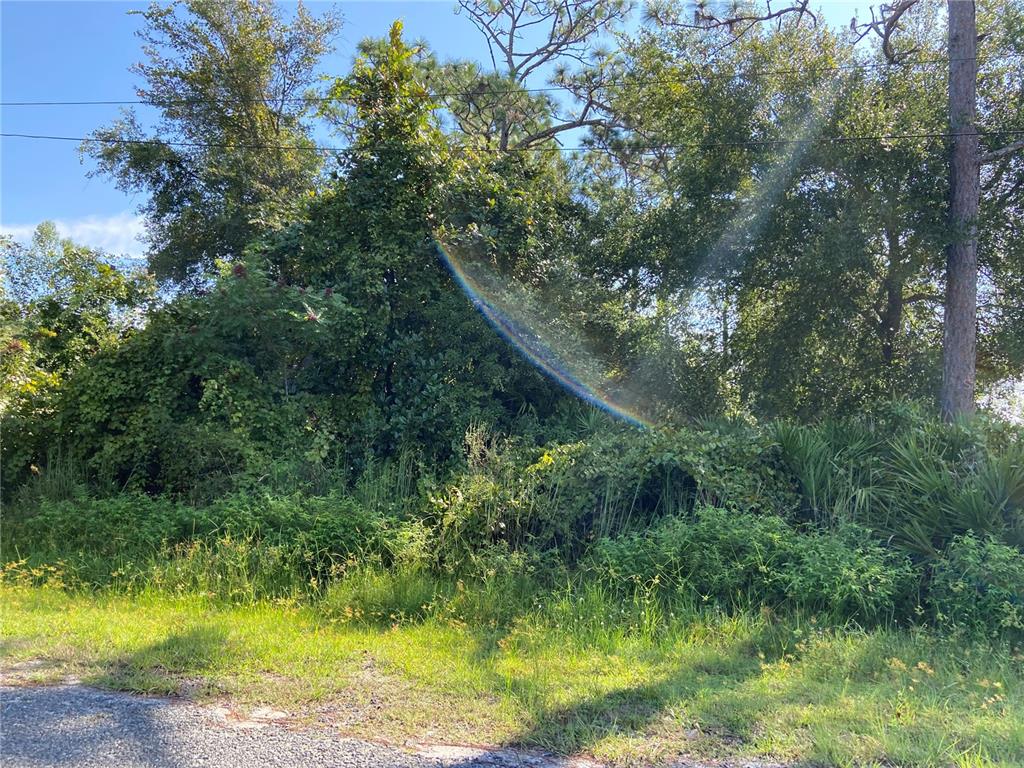 Illinois Avenue, FL