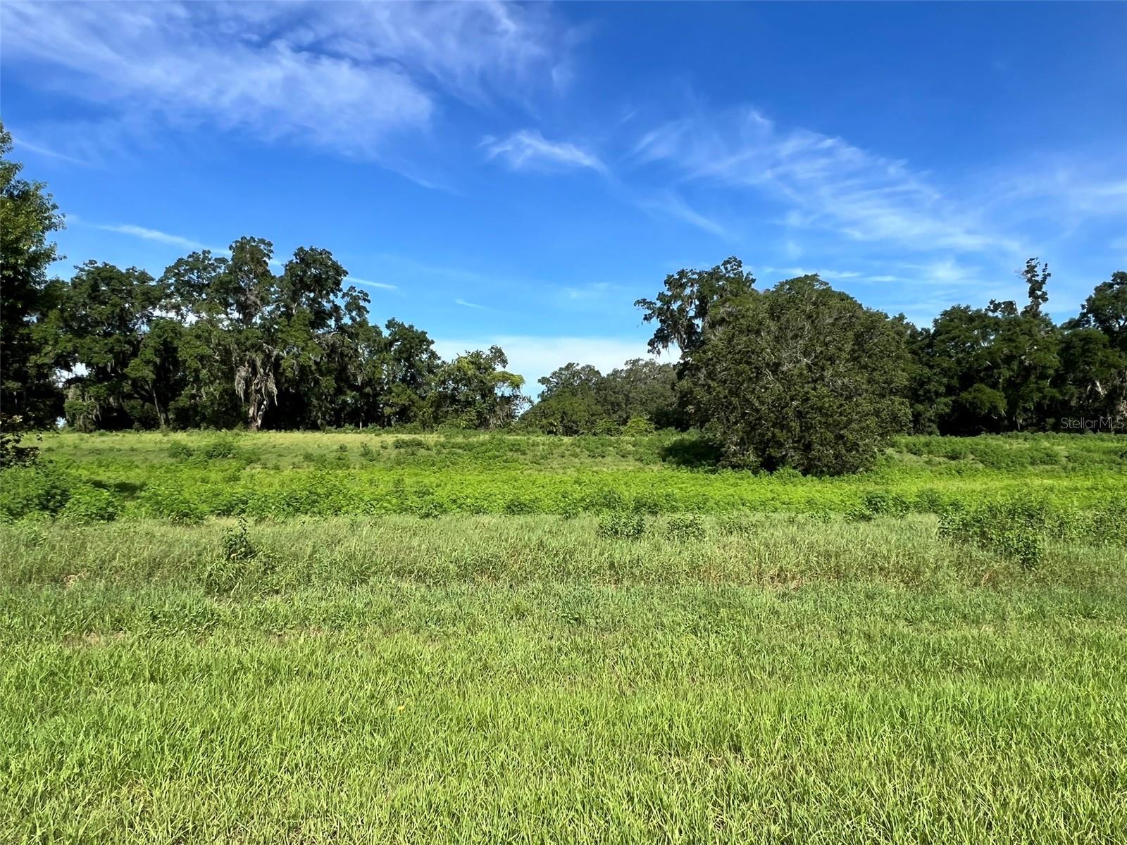 0 8th Avenue, FL