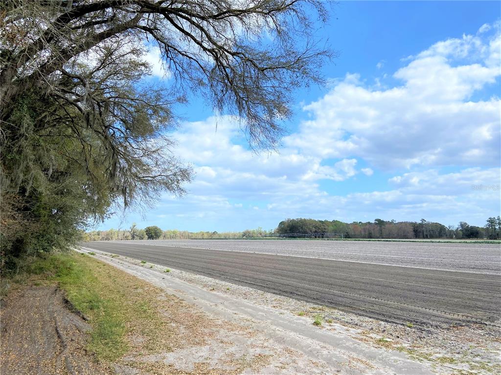24103 County Road 239, FL