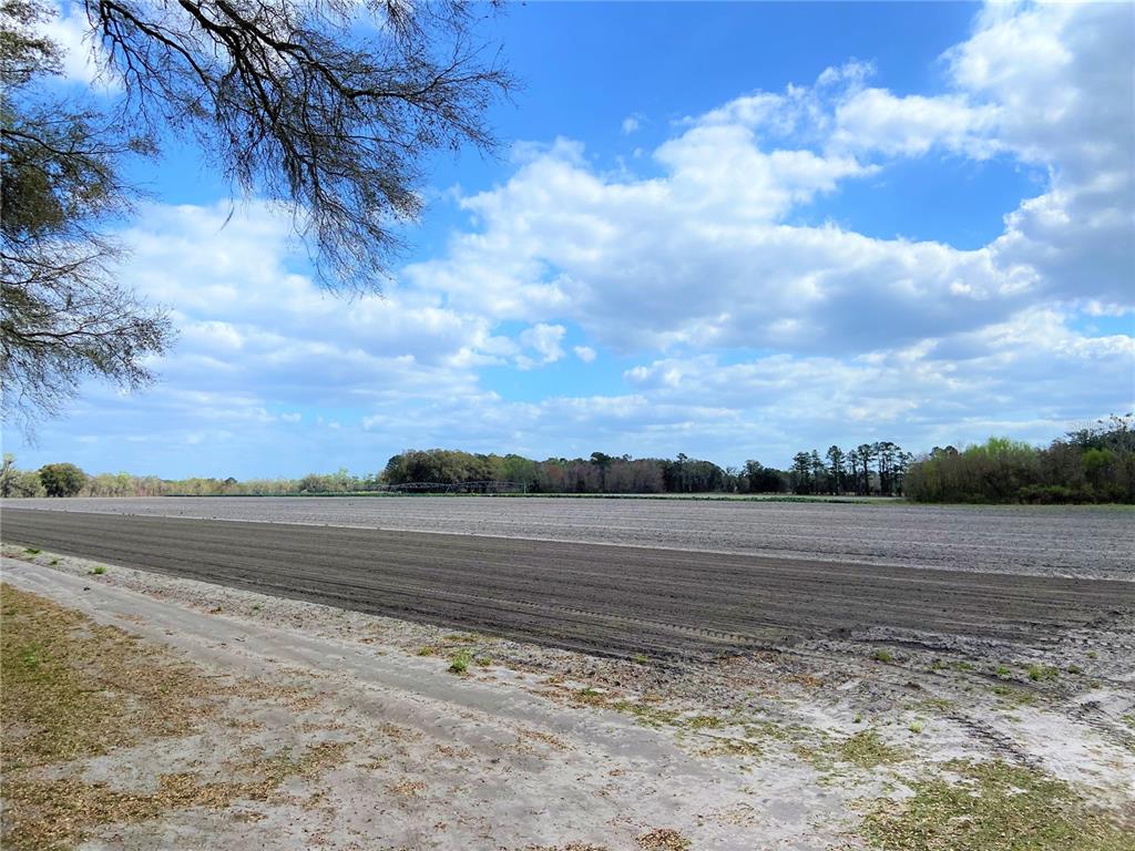 24103 County Road 239, FL