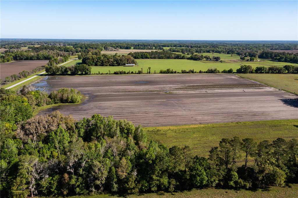 24103 County Road 239, FL