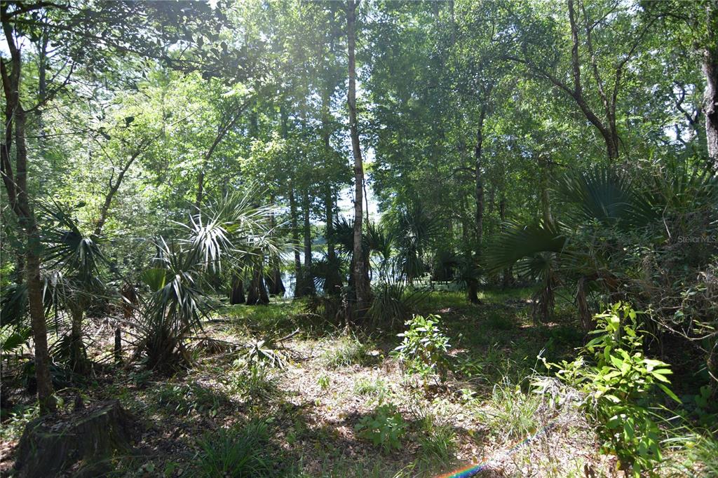 Sw 64th Ave, FL