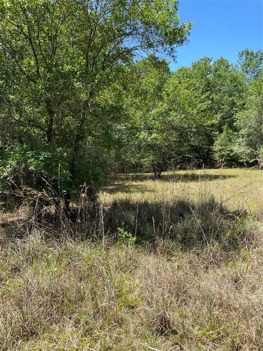 9368 Riveroak Lane, FL