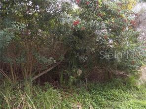 Geneva Rd, FL