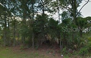 Jacaranda Avenue, FL