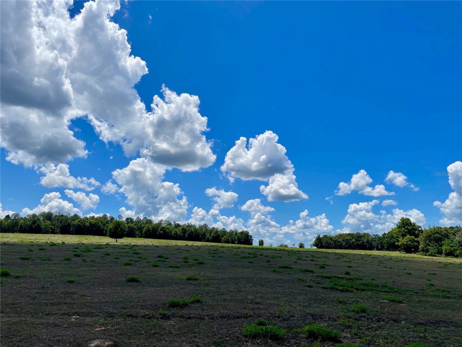 Parrish Grove Road, FL