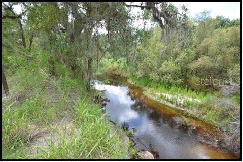7019 Crooked Creek Lane, FL
