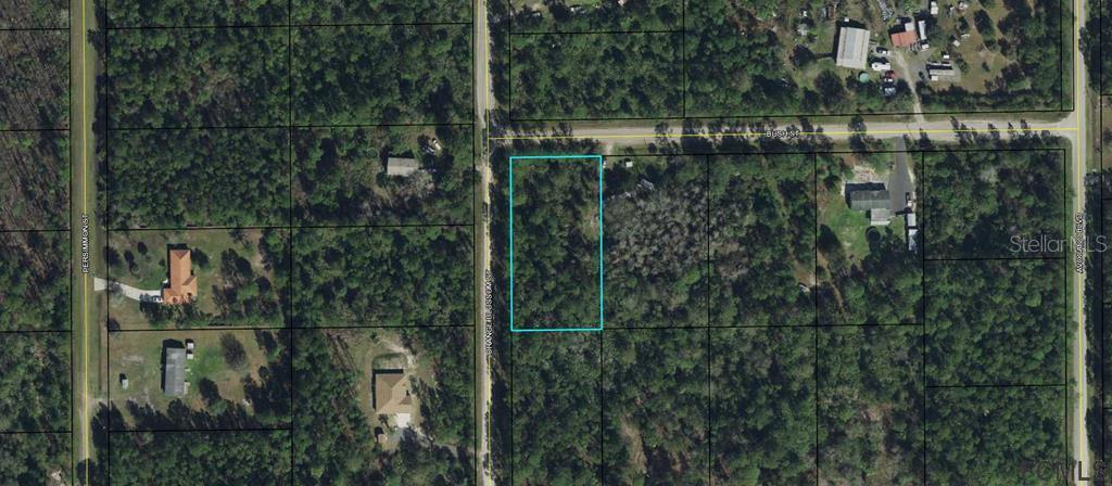 6131 Bush Street, FL