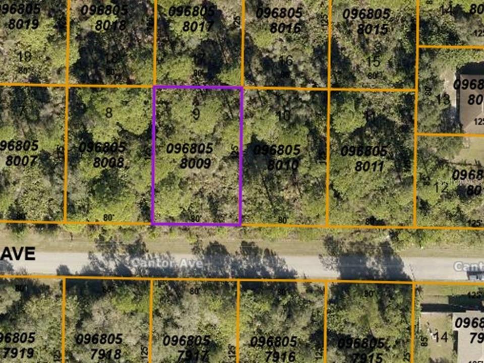 Lot 9 Cantor Avenue, FL