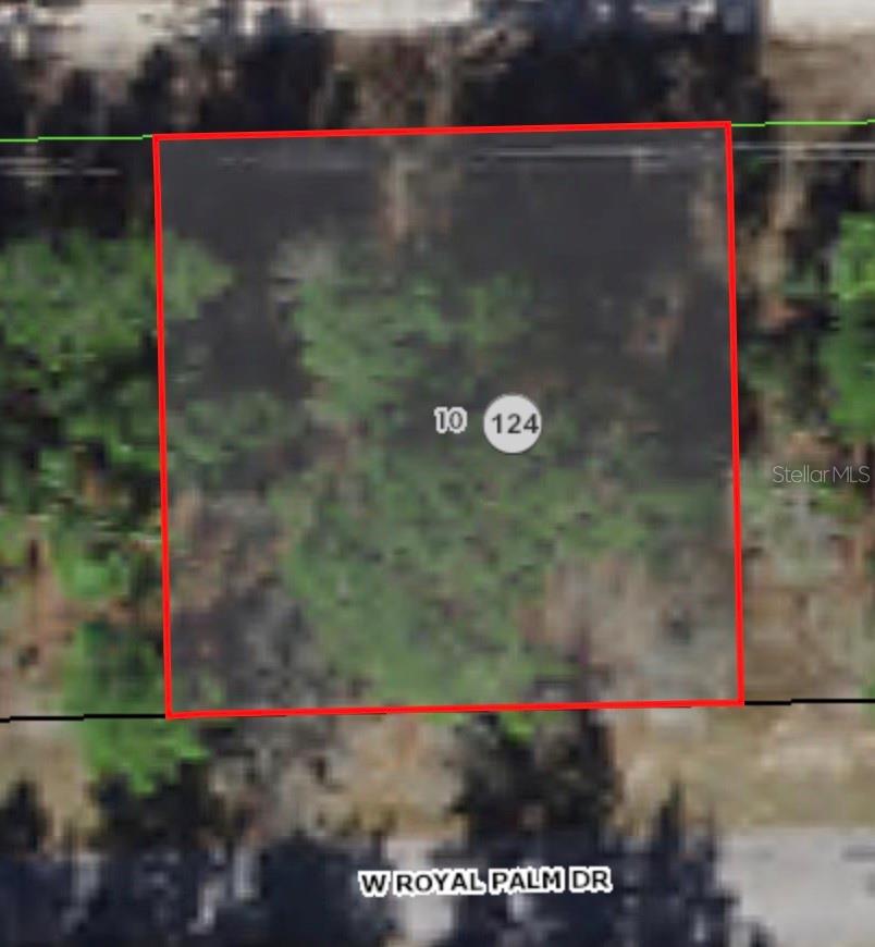2671 Royal Palm Drive, FL