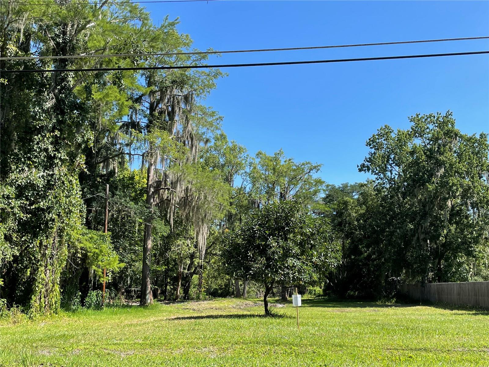 16415 Bearle Road, FL