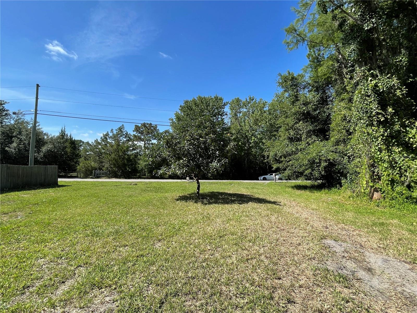 16415 Bearle Road, FL