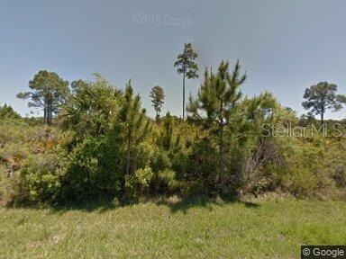 482 Hanscom Street, FL