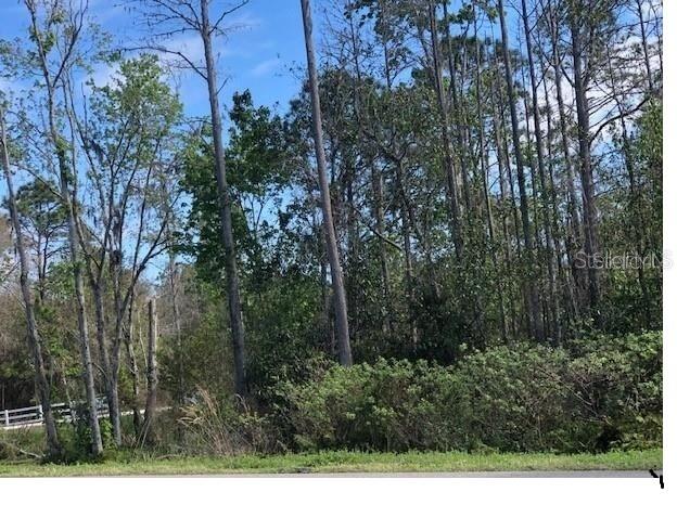 Mt Tabor Road, FL