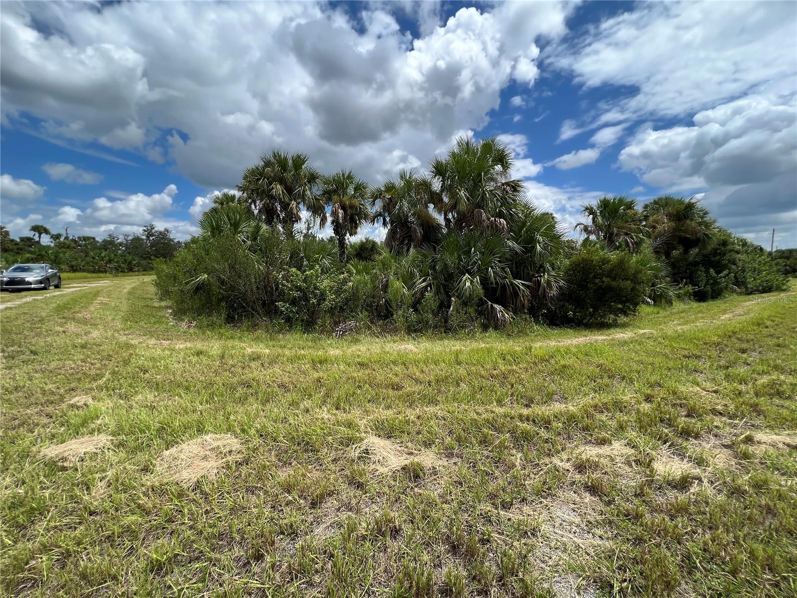 0 Deer Pl, FL