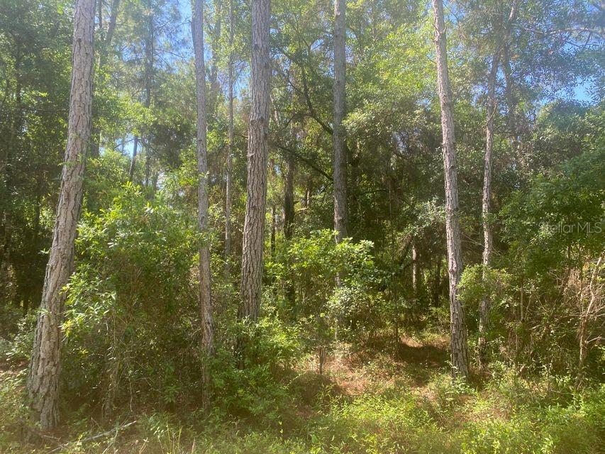 Tbd 155th Lane, FL